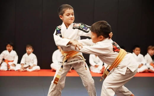a couple of boys in karate uniforms