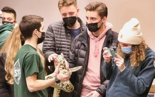 a group of people wearing masks