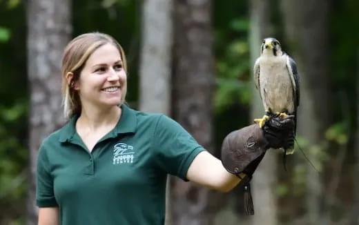 a person holding a bird