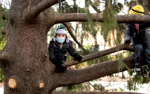 a couple of people climbing a tree