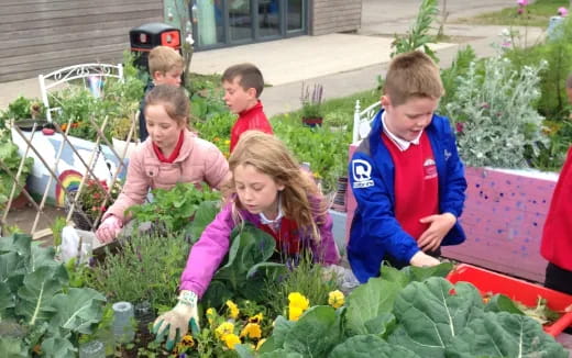 a group of children in a garden