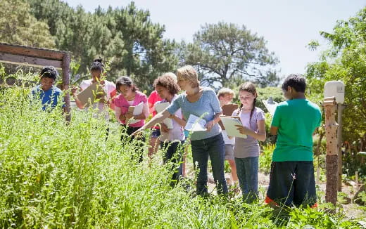 a group of people in a garden