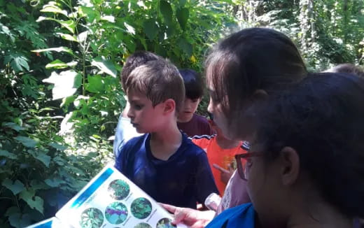 a group of children looking at a map