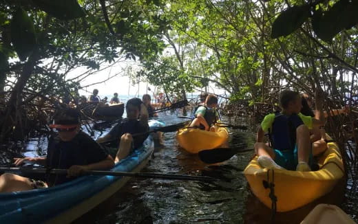 a group of people in kayaks on a river
