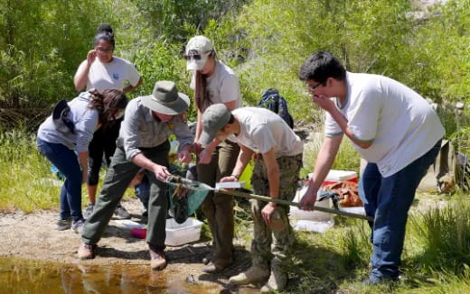 a group of people digging in the dirt