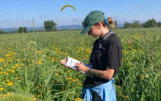 a man in a field of flowers