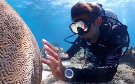 a person wearing a mask and holding a fish