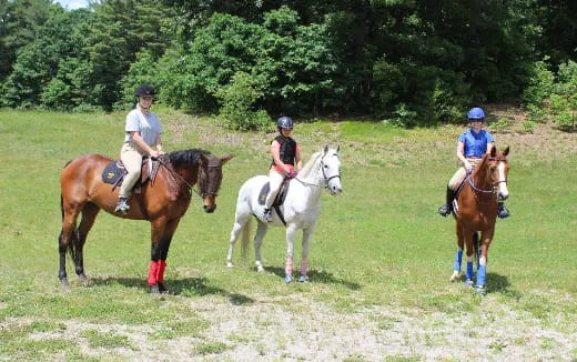 a group of people riding horses