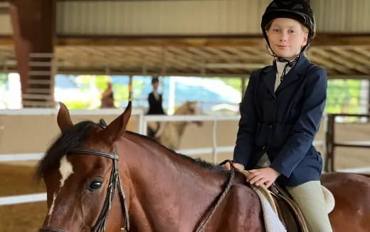 a person riding a horse