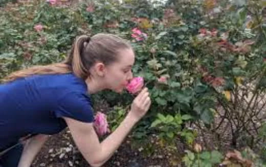 a person picking a flower