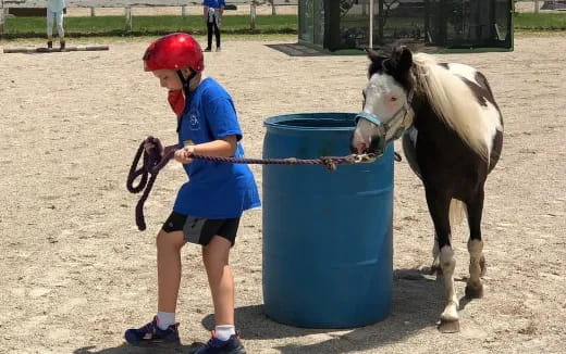 a child feeding a horse