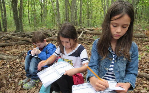 a group of children sitting in the woods