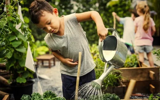 a person watering plants