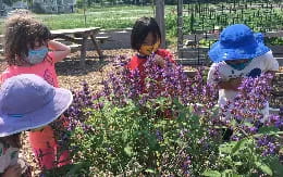 children in a garden