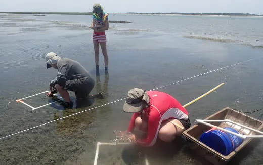 a few people fishing