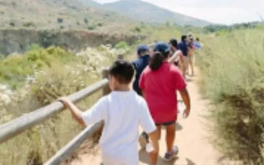 a group of people walking on a path in a grassy area
