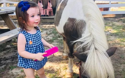 a girl standing next to a llama