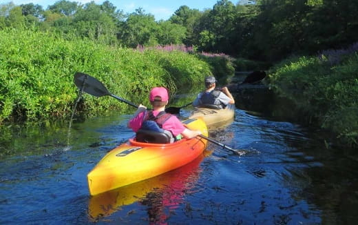 a couple of people in a canoe on a river