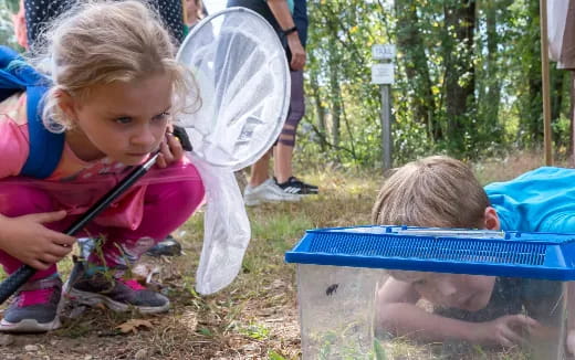 a group of children playing in the dirt