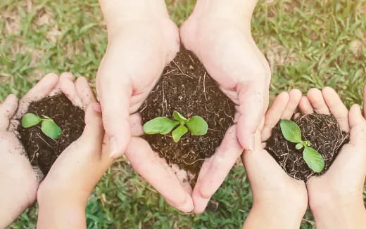 hands holding soil with dirt