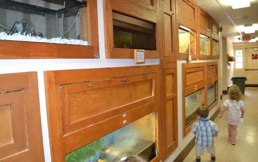 a couple of children looking at a fish tank in a room