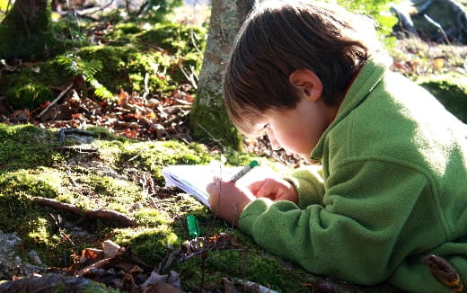 a child reading a book