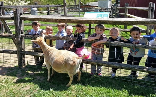 a group of children standing next to a camel