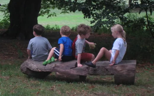a group of kids sitting on a log in the grass