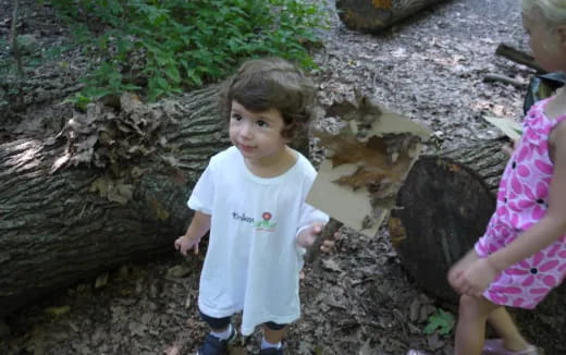 a little girl standing next to a tree stump