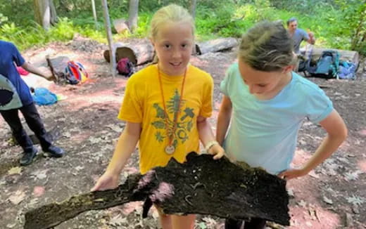 a person and a child playing with a large log