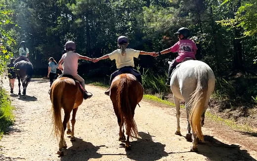 people riding horses on a dirt road