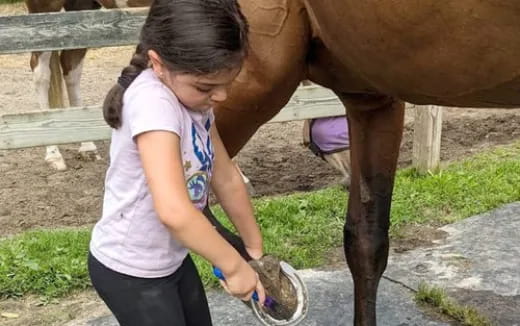 a girl petting a horse