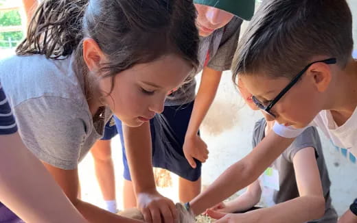 a group of children looking at something