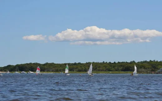 sailboats on the water