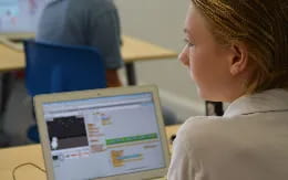 a person looking at a laptop