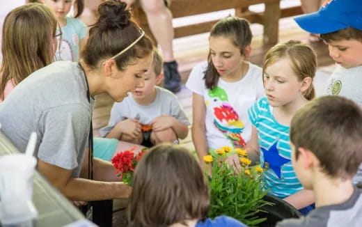 a group of children looking at a plant