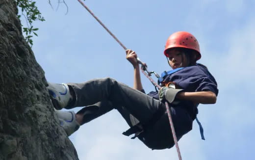 a man climbing a tree