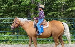 a person riding a horse