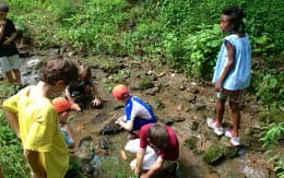 a group of children digging in the dirt
