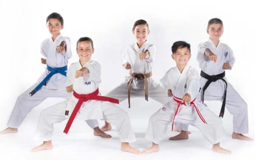 a group of kids in karate uniforms