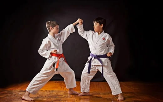 two boys in karate uniforms