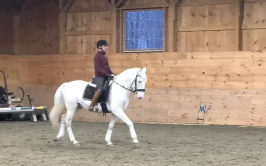 a person riding a white horse