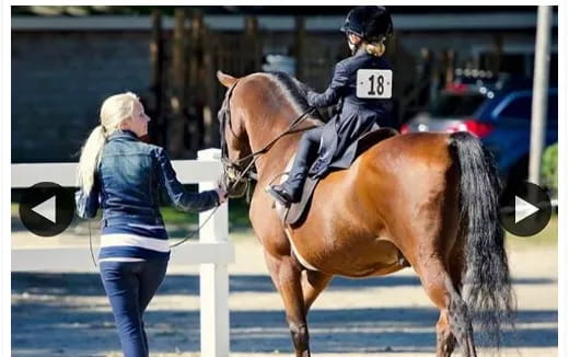 a person leading a horse