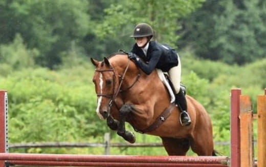 a person riding a horse