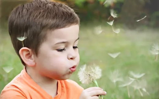 a child holding a flower