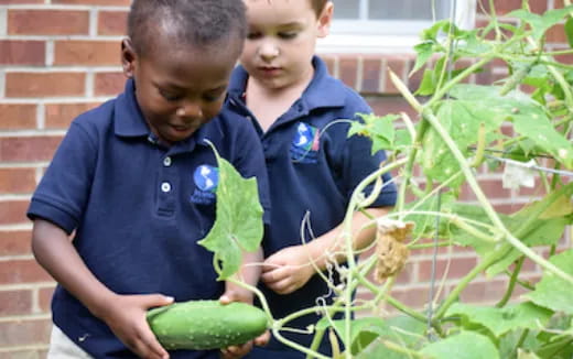 medium shot of kids holding a plant