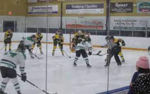 a group of people playing hockey