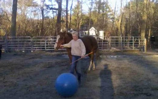 a man holding a horse