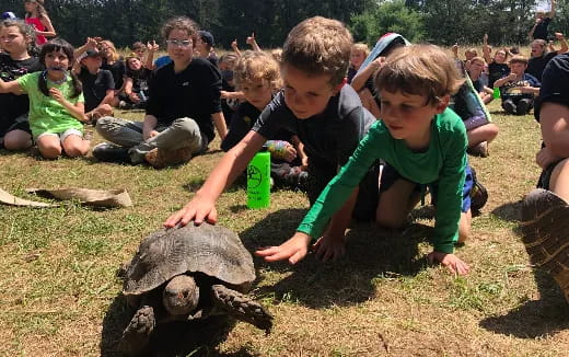 a group of kids playing with a turtle