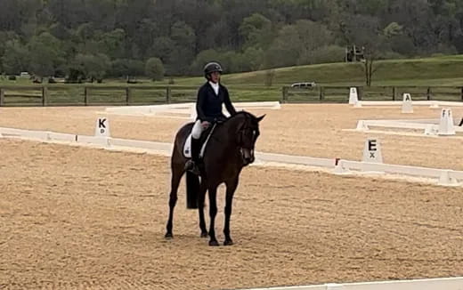 a person riding a horse